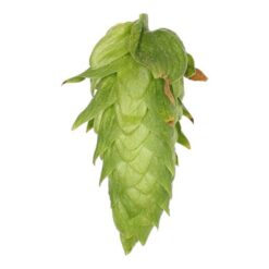 Lúpulo Cascade Hopsteiner x 100 grs