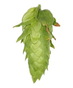 Lúpulo Cascade Hopsteiner x 100 grs