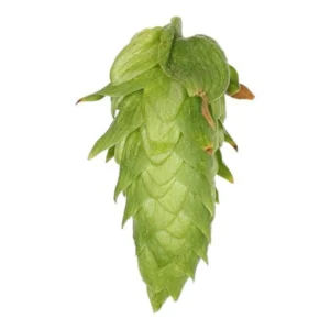 Lúpulo Cascade Hopsteiner x 100 grs