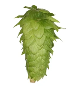 Lúpulo Chinook Hopsteiner x 1 Kg