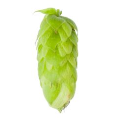 Lúpulo Perle Hopsteiner Pellet x 1 Kg