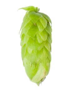 Lúpulo Perle Hopsteiner Pellet x 1 Kg