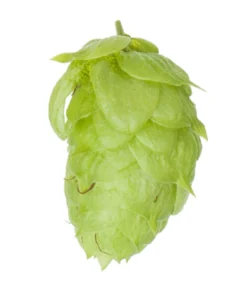 Lúpulo Nugget Hopsteiner x 100 grs