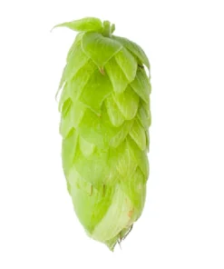 Lúpulo Perle Hopsteiner x 100 grs