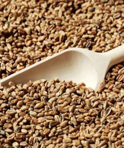 Malta Goldswaen Classic