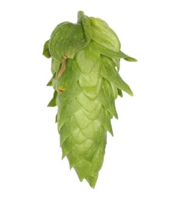 Lúpulo Amarillo Hopsteiner x 100 grs