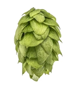 Lúpulo Galaxy YQH x 1 kg.