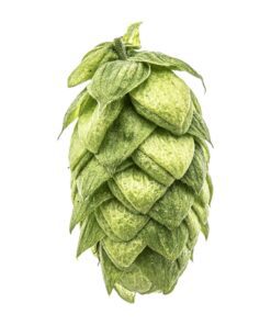 Lúpulo Magnum Hopsteiner x 1 Kg