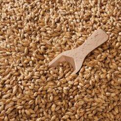 Malta Swaen Ale x 25 Kg