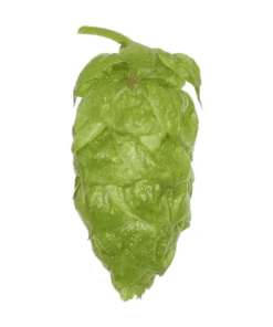 Lúpulo Apollo Hopsteiner x 1 Kg