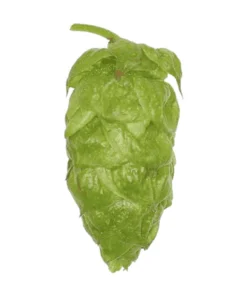 Lúpulo Hopsteiner Apollo x 100 grs