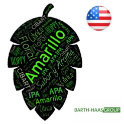 Lúpulo Amarillo Hopsteiner x 5 Kg Lúpulo Amarillo Hopsteiner x 5 Kg - Image 2