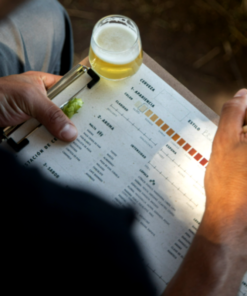 Curso Inicial de Cerveza Artesanal - Modalidad Presencial