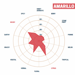 Lúpulo Amarillo YQH x 5 Kg Lúpulo Amarillo