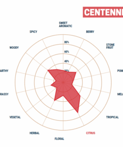 Lúpulo Centennial YQH Cosecha 2023 x 1 Kg Lupulo Centennial