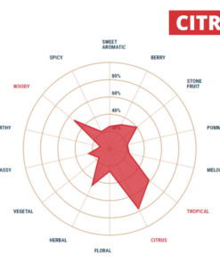 Lúpulo Citra x 1 Kg - Yakima