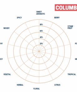 Lúpulo CTZ YQH x 1 Kg. Lúpulo Columbus