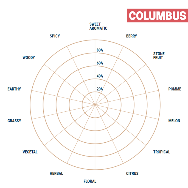 Lúpulo Columbus Lúpulo Columbus