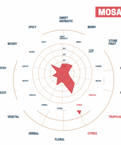Lúpulo Mosaic YQH x 5 Kg Lúpulo Mosaic