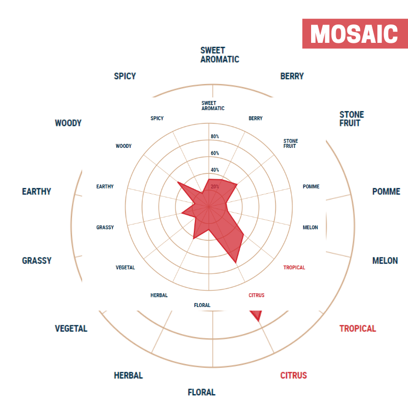 Lúpulo Mosaic Lúpulo Mosaic