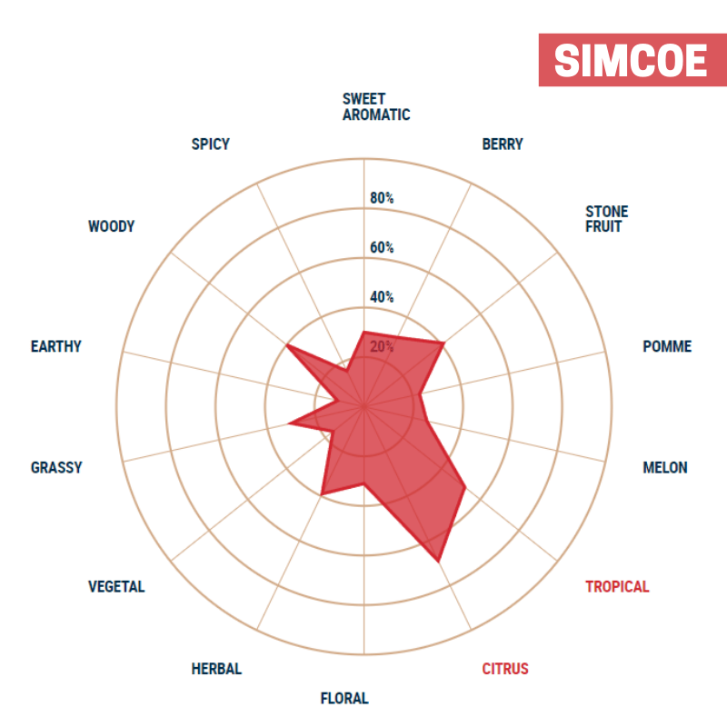 Lúpulo Simcoe Lúpulo Simcoe