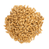Malta Pale Ale x 25 Kg - Bestmalz