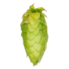 Lúpulo Centennial Hopsteiner