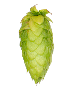 Lúpulo Centennial Hopsteiner x 100 grs