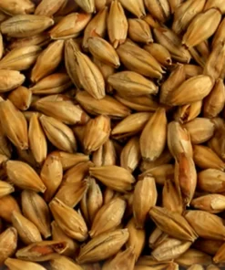 Malta Munich Naheland x 1 Kg