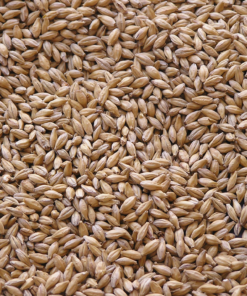 Malta Pilsen Naheland