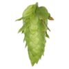 Lúpulo Cascade Hopsteiner x 5 Kg Lúpulo Cascade Hopsteiner x 5 Kg
