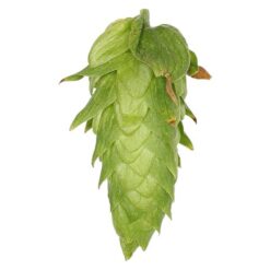 Lúpulo Cascade Hopsteiner x 5 Kg