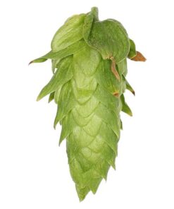 Lúpulo Cascade Hopsteiner x 5 Kg