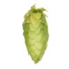 Lúpulo Centennial Hopsteiner x 1 Kg