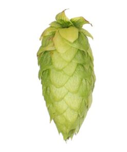 Lúpulo Centennial Hopsteiner x 1 Kg