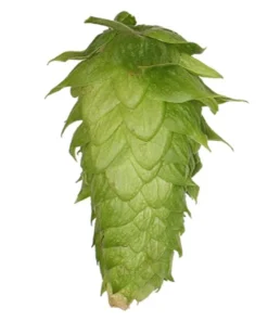 Lúpulo Chinook Hopsteiner x 5 Kg