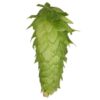 Lúpulo Chinook Hopsteiner x 100 grs Lúpulo Chinook Hopsteiner x 100 grs