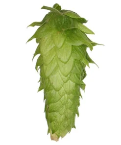 Lúpulo Chinook Hopsteiner x 100 grs