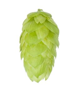 Lúpulo Comet Hopsteiner