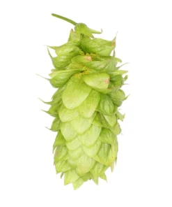 Lúpulo Nugget Hopsteiner