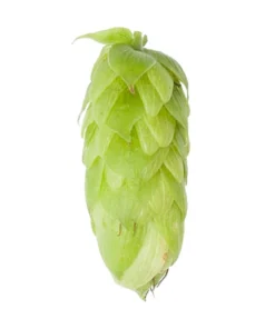 Lúpulo Perle Hopsteiner