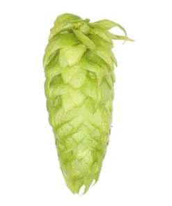 Lúpulo Summit Hopsteiner