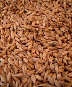 Malta Pilsen NMB x 5 Kg