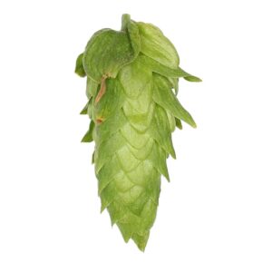 Lúpulo UK Golding Hopsteiner x 1 Kg