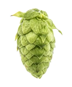 Lúpulo Bravo Hopsteiner x 5 Kg