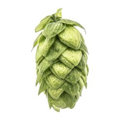 Lúpulo Magnum Hopsteiner x 5 Kg