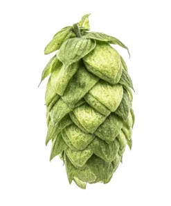 Lúpulo Horizon Hopsteiner 5 Kg