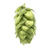 Lúpulo Horizon Hopsteiner x 1 Kg