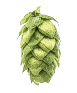 Lúpulo Horizon Hopsteiner x 1 Kg