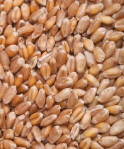 Malta De Trigo Naheland X 5 Kg.